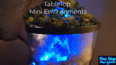 FullOverview-Shorter v2 indv 400px-18